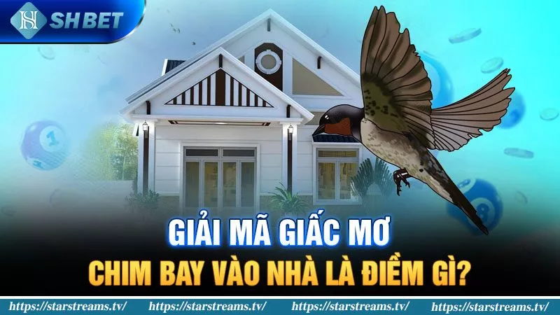Hình minh họa — Kl99